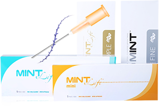Mint Fix